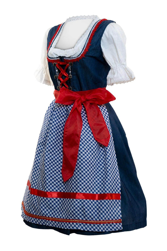 Women's dirndl dress with lace apron, dark blue corset bodice, red sash bow, gingham skirt