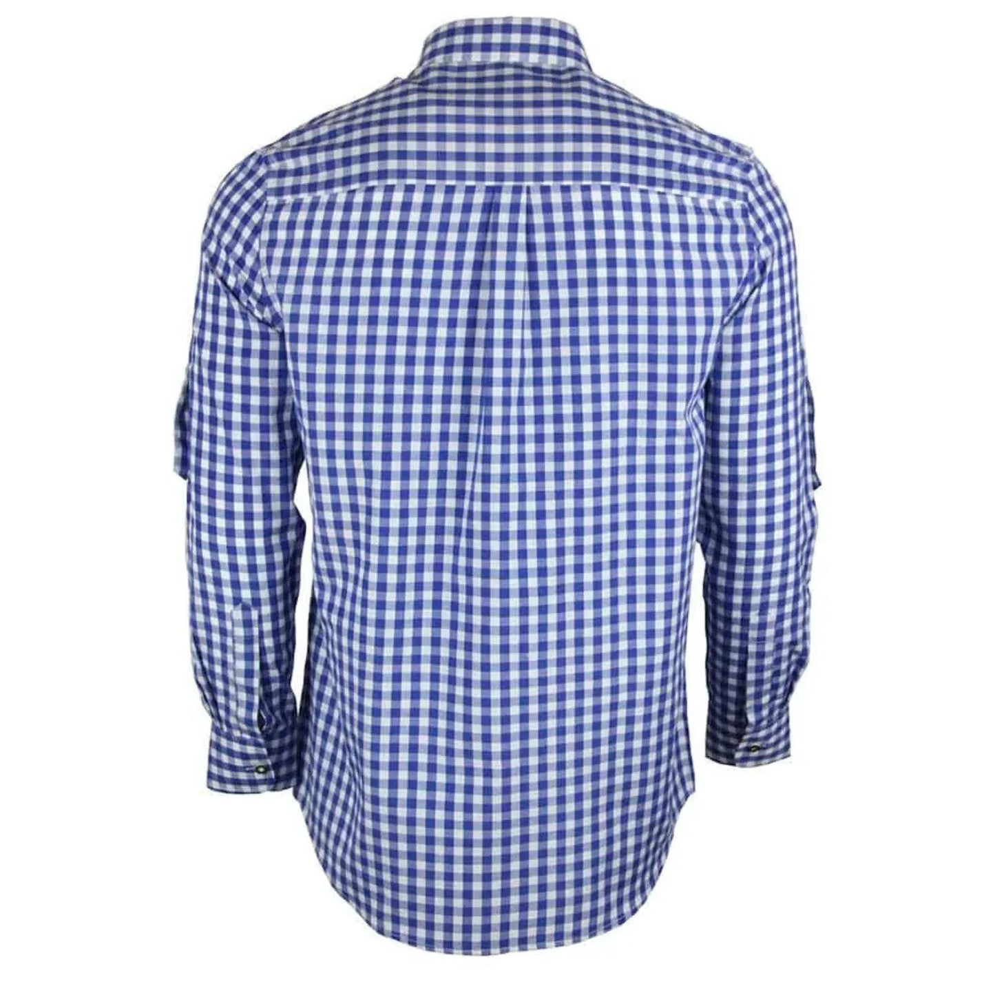 Men's blue-and-white check shirt back view, long sleeves, button cuffs